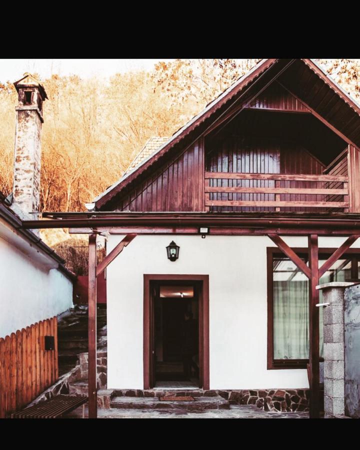 Villa Sedra House Sighişoara Exterior foto